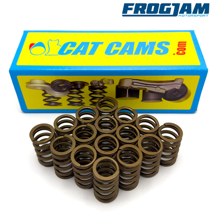 Cat Cams Uprated Valve Spring Set | Renault F4R