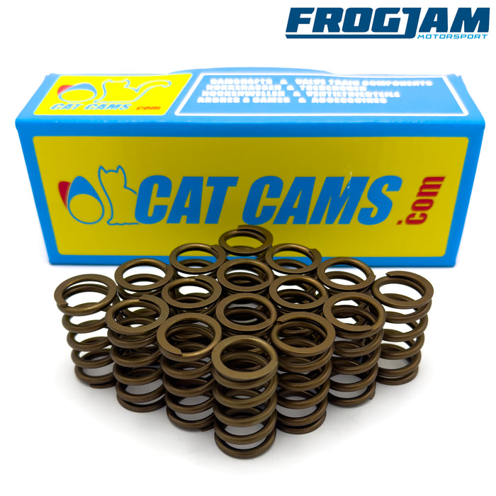 Cat Cams Uprated Valve Spring Set | Renault F4R